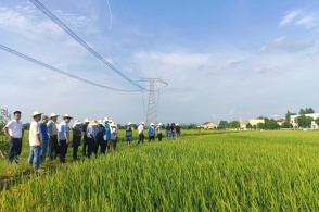 稻田飞机场最新建设进展与未来展望消息揭秘