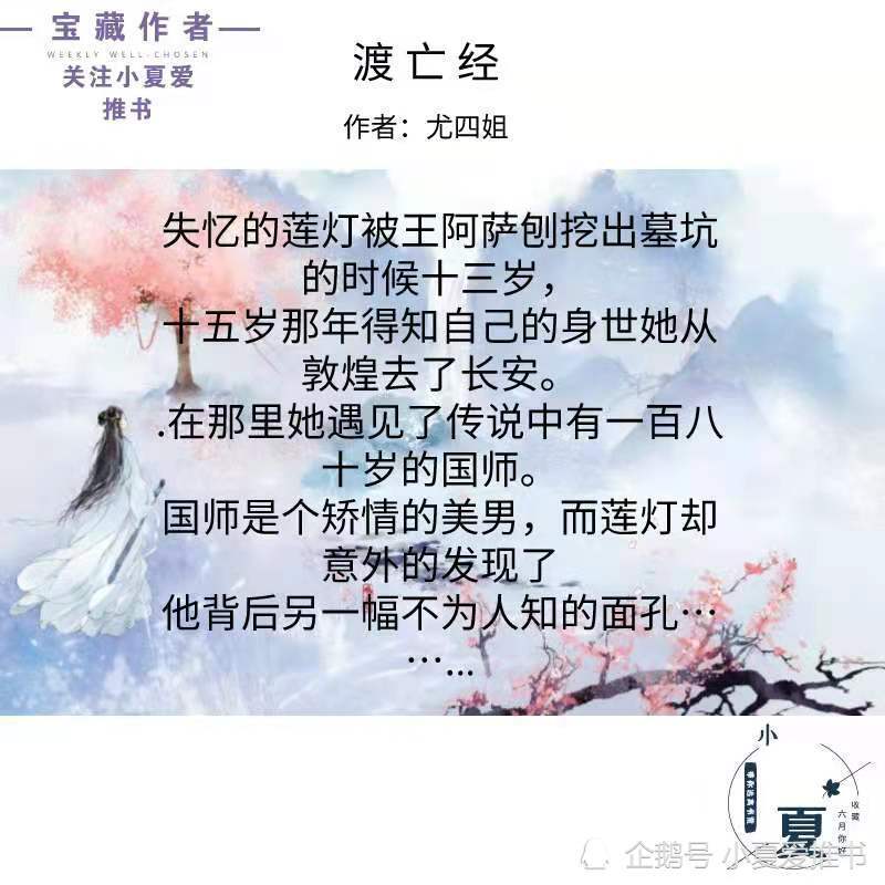 尤四姐最新小说作品探秘，揭开神秘面纱的奇幻之旅