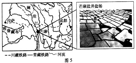 苗池在 第31页