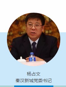 秦汉杨占文最新动态，历史与现代交融的传奇人物揭秘