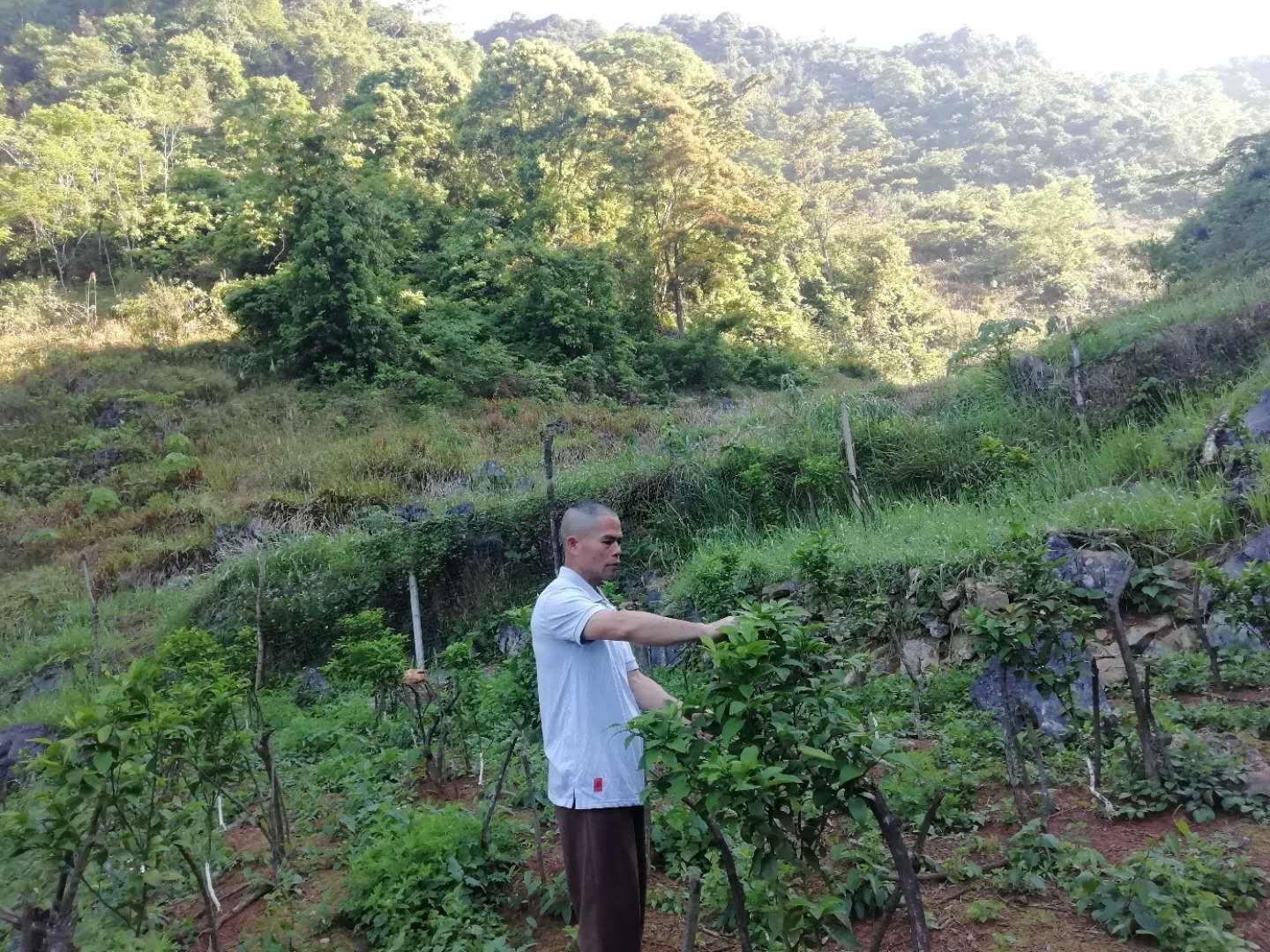 广西招商引资新办法，推动经济高质量发展新动力